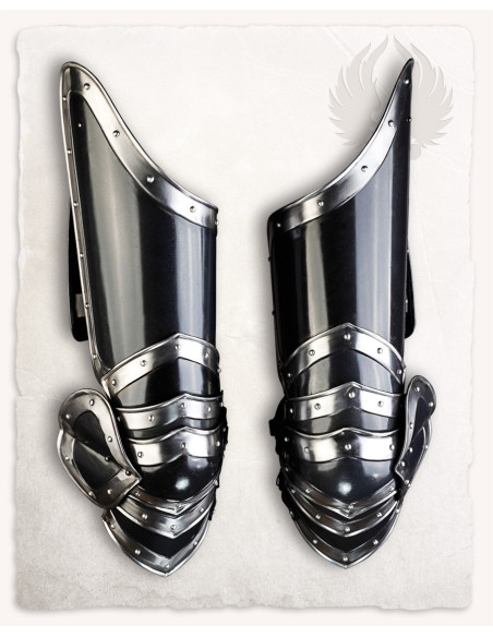 Armatura per gambe in acciaio...