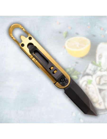 Coltello marca Third apriostre manico...