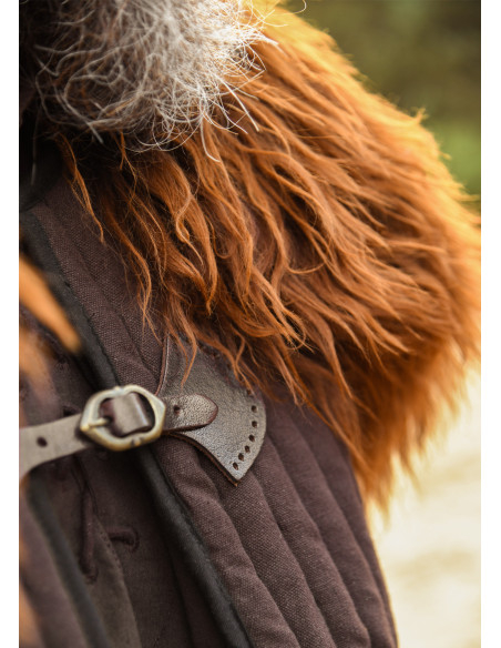 Chiusura del colletto con fibbia,...