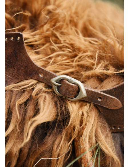 Chiusura del colletto con fibbia,...