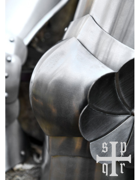 Proteggitori medievali in acciaio per...