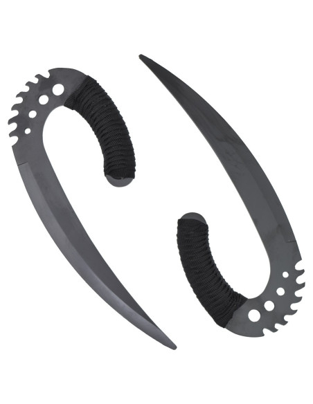 Artigli di Sable Nero Le Cronache di...