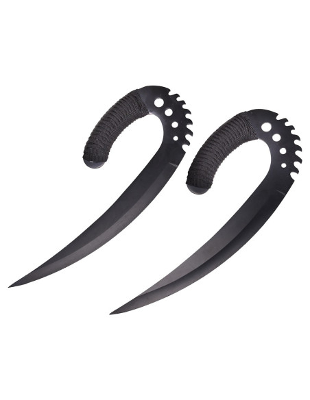 Artigli di Sable Nero Le Cronache di...