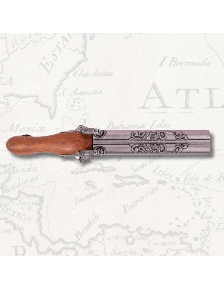 Pistola a due canne a percussione...