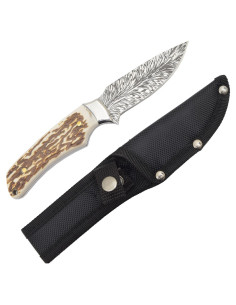 Coltello avventura con fodero per cintura 2