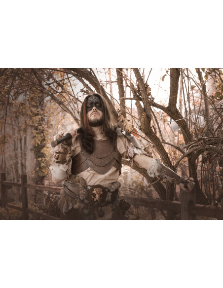 Pettorale guerriero vichingo...