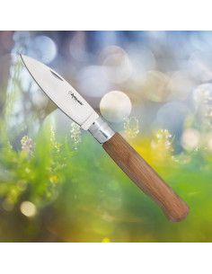Coltello Extremeño Cabritera Girolock (22,30 cm.)