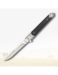 Coltello Albainox con manico in stamina nera (21,2 cm.)