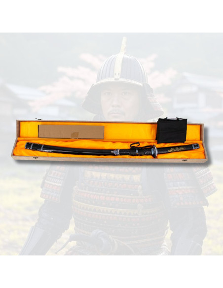 Katana per allenamento di base...