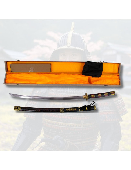 Katana per pratica di base modello...