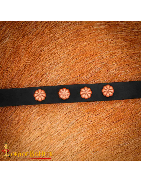 Pacchetto di 5 decorazioni per...