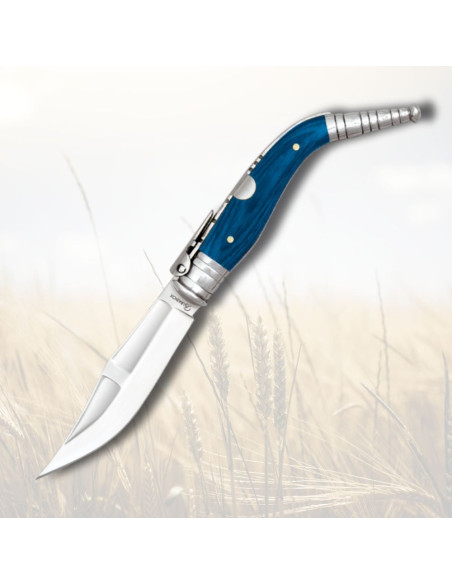 Coltello Albainox Bandolera numero 4...