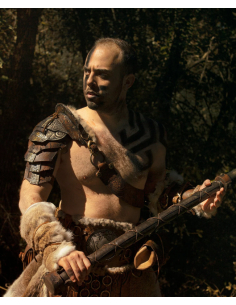 Spalliera Thor Barbaro in marrone (1 unità) 2