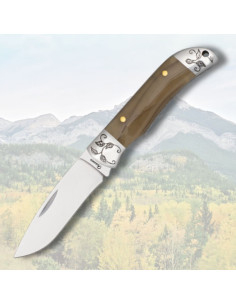 Coltello Albainox manico in acrilico (18,5 cm.)