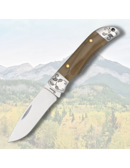 Coltello Albainox con manico in...