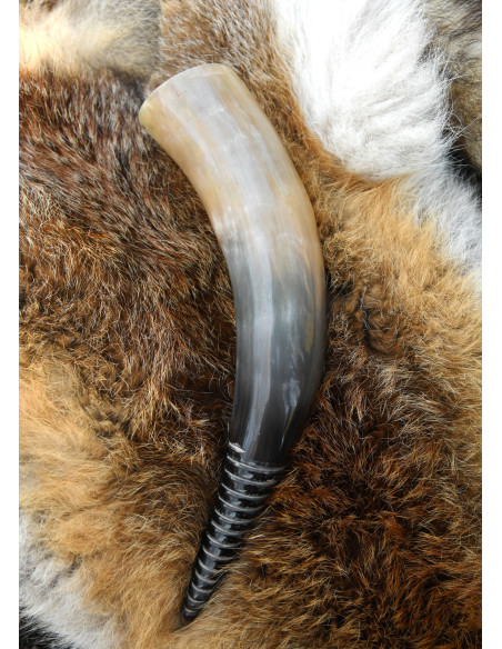 Corno vichingo con design spirale...