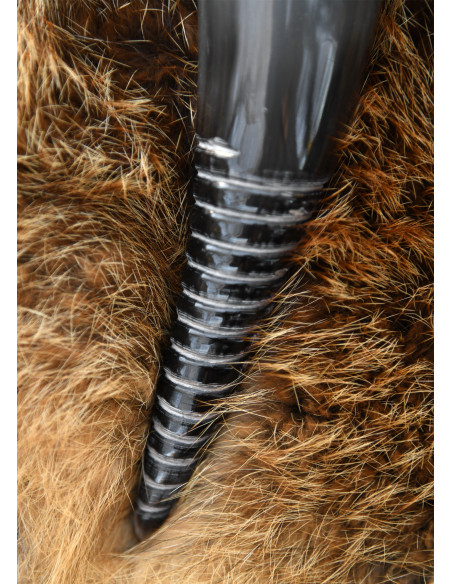 Corno vichingo con design spirale...