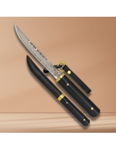 Coltello Albainox design Tanto Giapponese, lama damasco