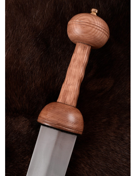 Gladio romano Fulham S.I