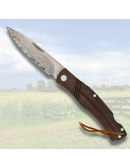 Coltello da campo Albainox lama in...