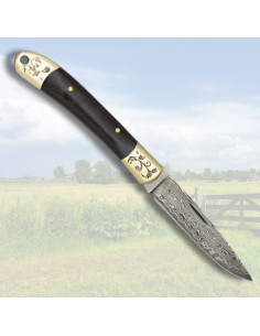 Coltello collezione Albainox lama Damasco 67 strati (16,4...