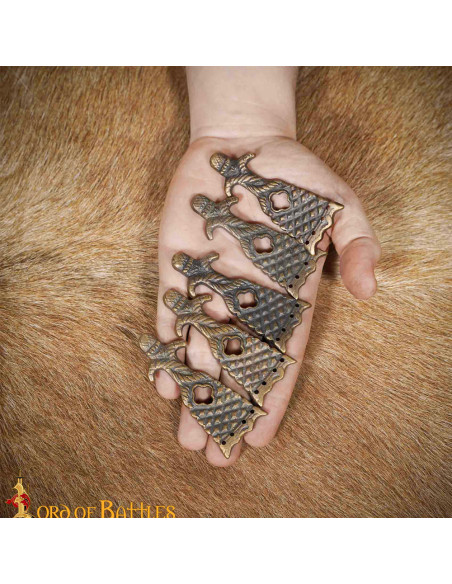 Pacchetto di 5 punte per cintura...