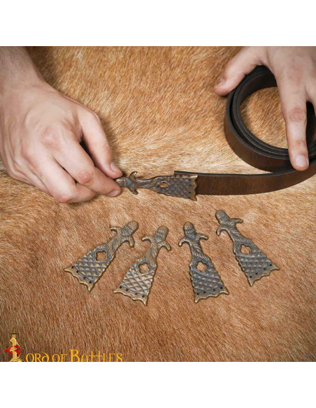 Pacchetto di 5 punte per cintura...