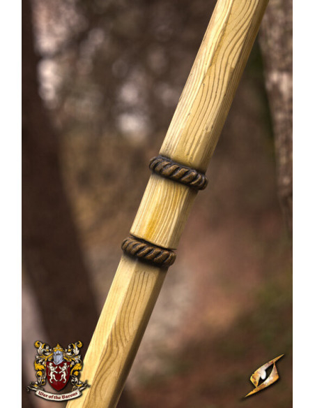 Lancia medievale da guerriero per...