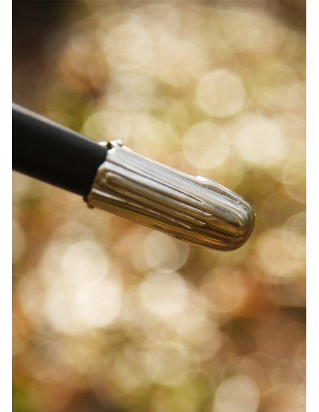 Spada Rapièra Tedesca decorativa con...