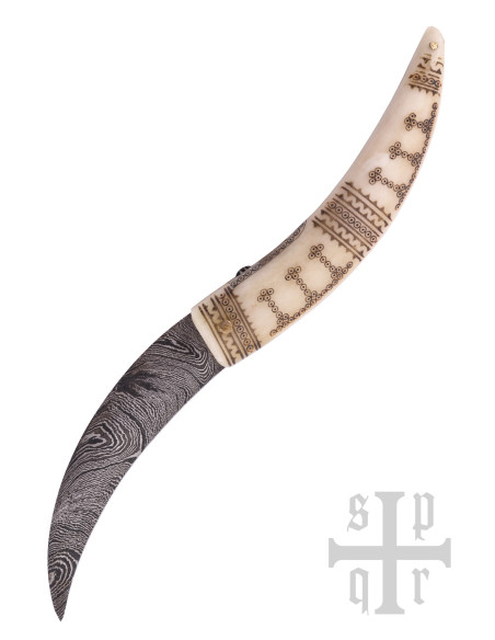 Coltello Vikinga con lama in acciaio...