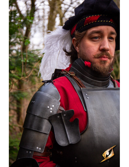 Spalliere medievali in acciaio...