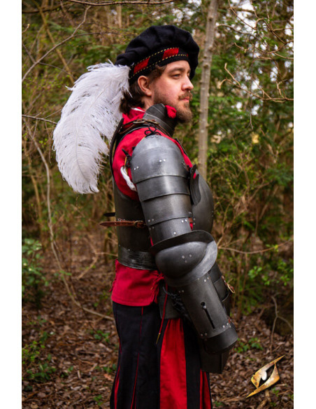 Spalliere medievali in acciaio...