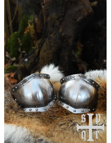 Paio di ginocchiere medievali, XV secolo