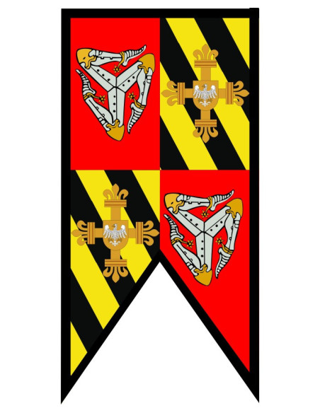 Bandiera Medievale a scacchi con...