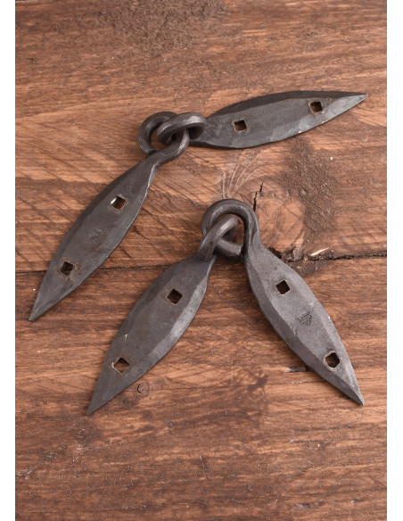 Cerniere per cofano vichinghi...