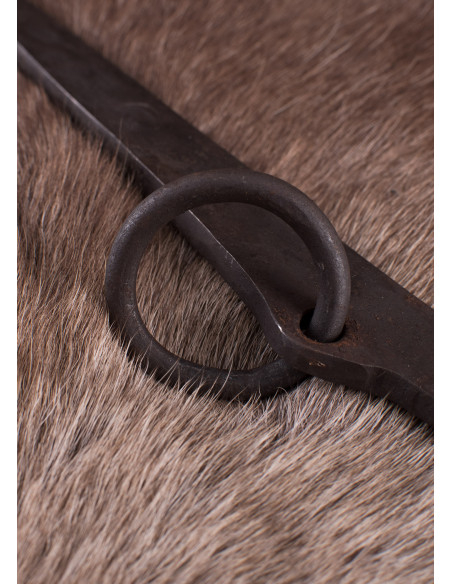 Picchetto con anello, acciaio...