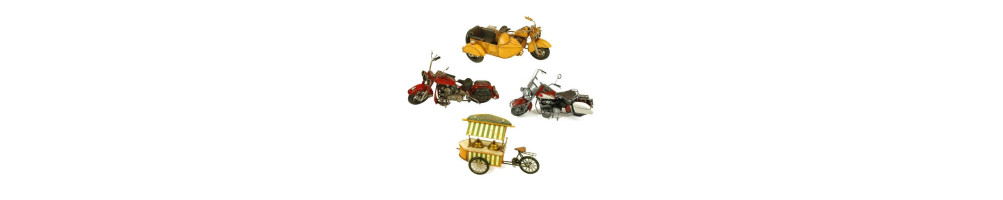 Miniature moto